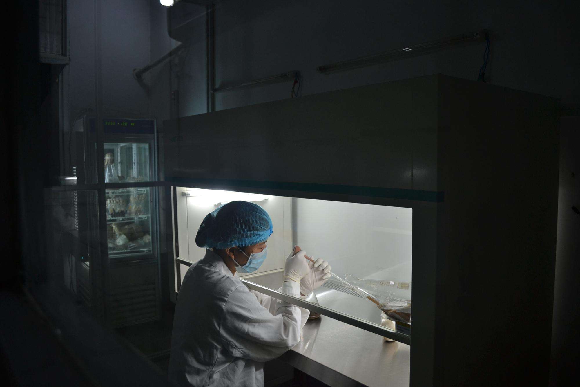 無菌操作時超凈工作臺需要準備什么?